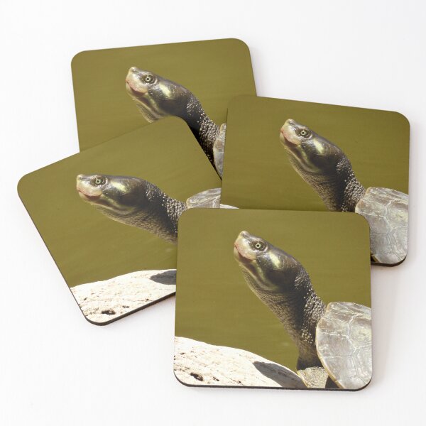 Item preview, Happy Turtle  designed and sold by Mark Grimsley.