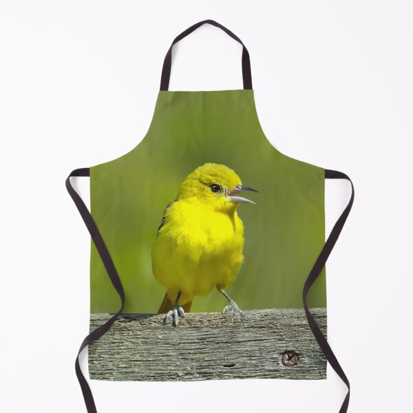 Item preview, Orchard Oriole - Original Photograph designed and sold by alpendesigns.