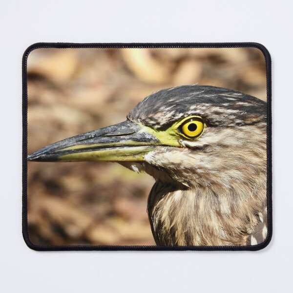 Item preview, Striated Heron stare designed and sold by Mark Grimsley.