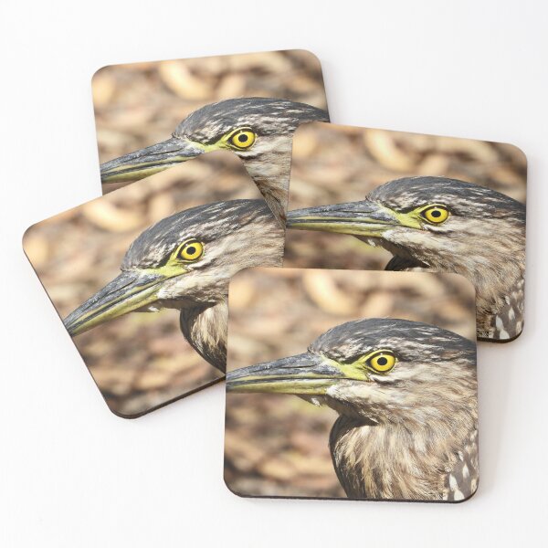 Item preview, Striated Heron stare designed and sold by Mark Grimsley.