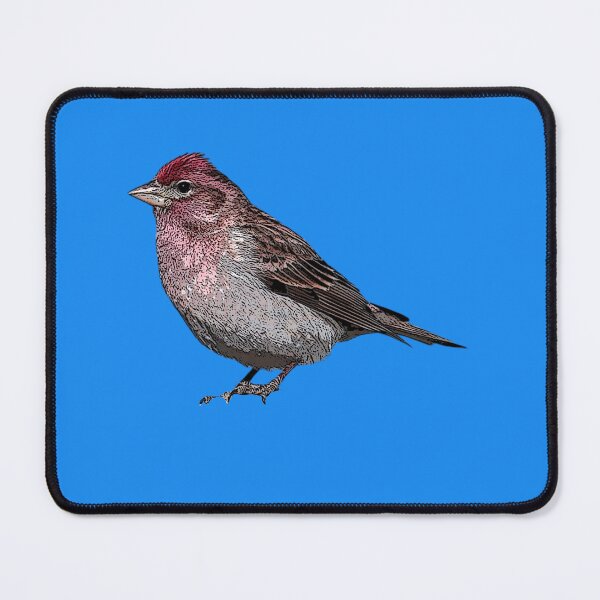 Item preview, Common Mealy Redpoll Color Design  designed and sold by designsasstultd.