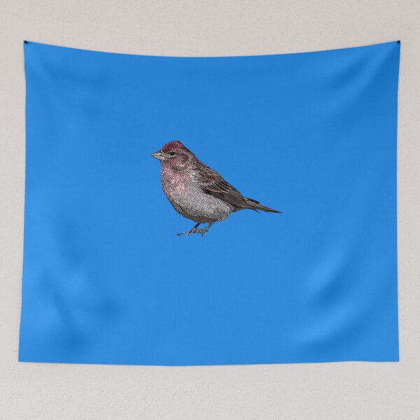 Item preview, Common Mealy Redpoll Color Design  designed and sold by designsasstultd.