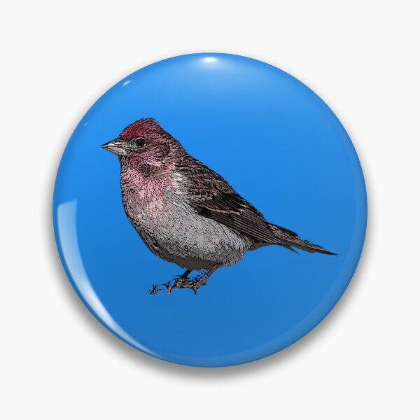 Item preview, Common Mealy Redpoll Black Alternate Design  designed and sold by designsasstultd.