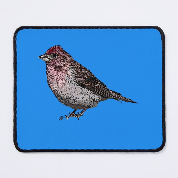 Item preview, Common Mealy Redpoll Black Alternate Design designed and sold by designsasstultd.