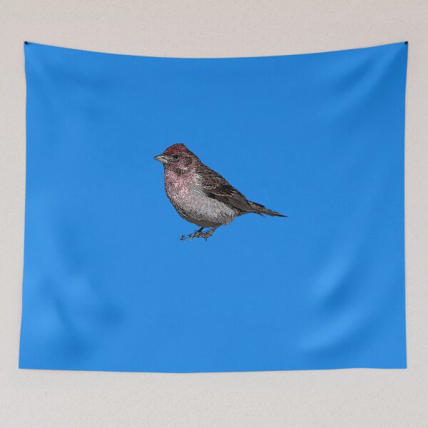 Item preview, Common Mealy Redpoll Black Alternate Design  designed and sold by designsasstultd.