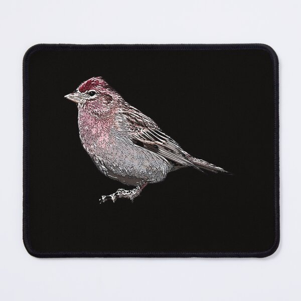 Item preview, Common Mealy Redpoll White Alternate Design designed and sold by designsasstultd.
