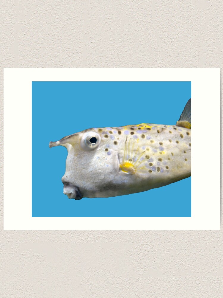 Alternate view of Cowfish Art Print