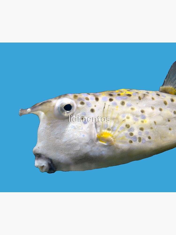 Cowfish by lidimentos