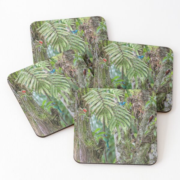 Item preview, Birds in the Forest designed and sold by Rachel Lee Young - Land of the Hummingbird.