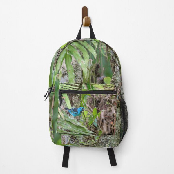 Item preview, Birds in the Forest designed and sold by Rachel Lee Young - Land of the Hummingbird.