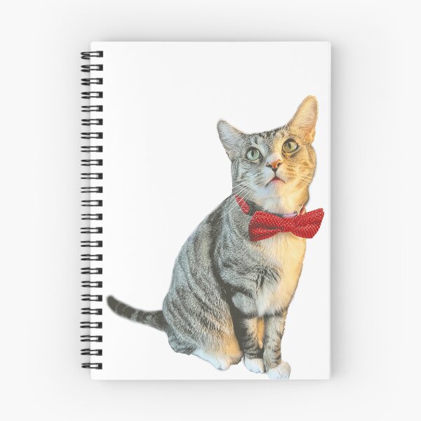 Item preview, Gentleman Kitty designed and sold by scz1111.