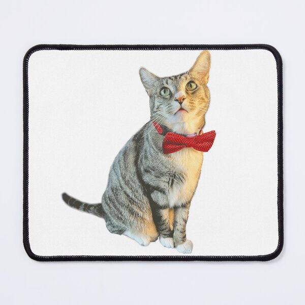 Item preview, Gentleman Kitty designed and sold by scz1111.