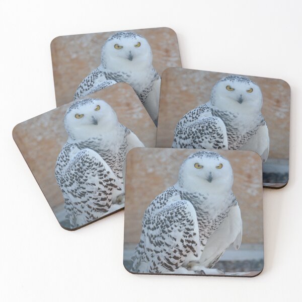 Item preview, Snowy Owl Photo designed and sold by TheAnimalZ00.