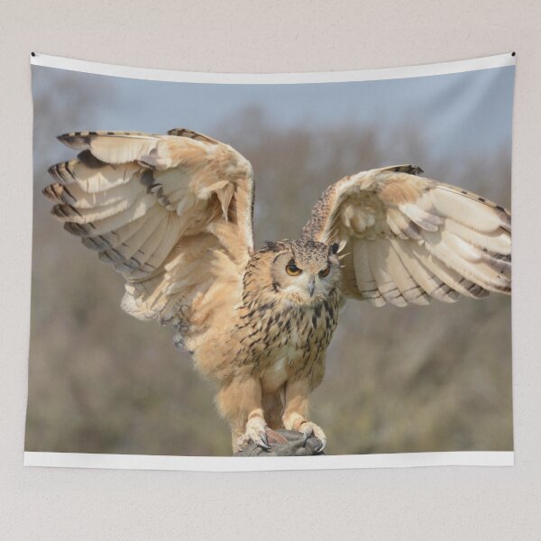 Item preview, Perched Snowy Owl Photo designed and sold by TheAnimalZ00.