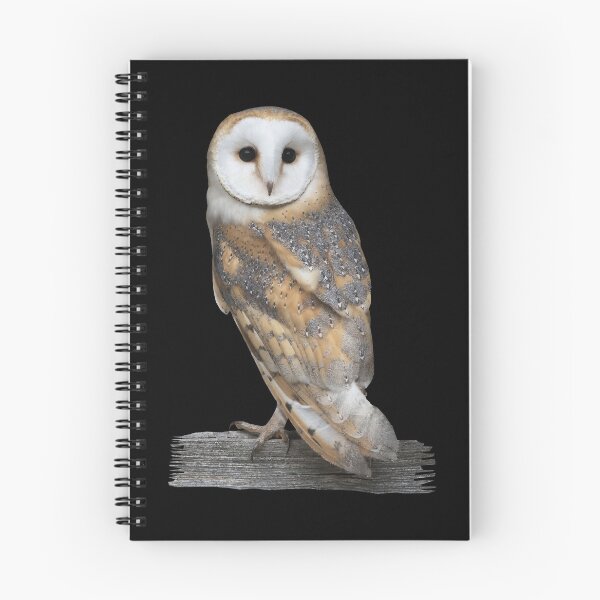Item preview, Barn Owl Portrait designed and sold by Futurebeachbum.