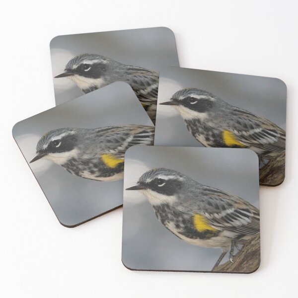 Item preview, Yellow Warbler Photo designed and sold by TheAnimalZ00.