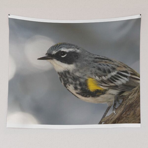 Item preview, Yellow Warbler Photo designed and sold by TheAnimalZ00.