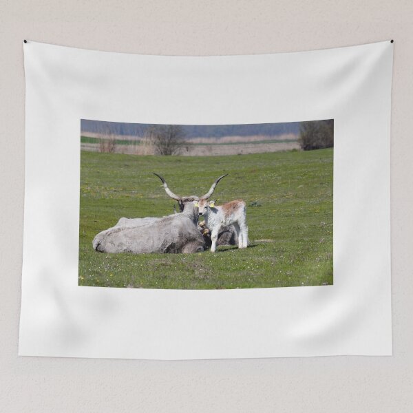 Item preview, calf and cow on pasture designed and sold by goceris.