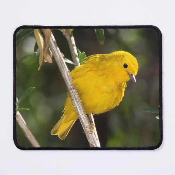 Item preview, Yellow Warbler Bird designed and sold by TheAnimalZ00.