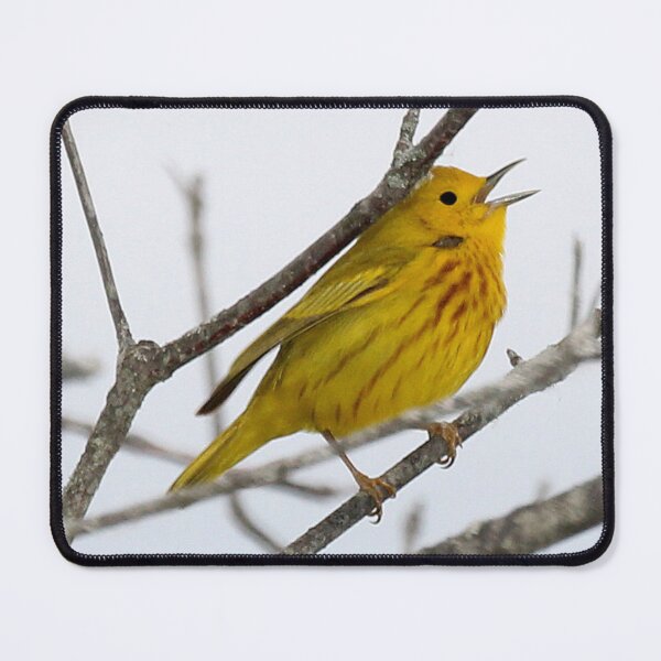 Item preview, Yellow Warbler  designed and sold by TheAnimalZ00.