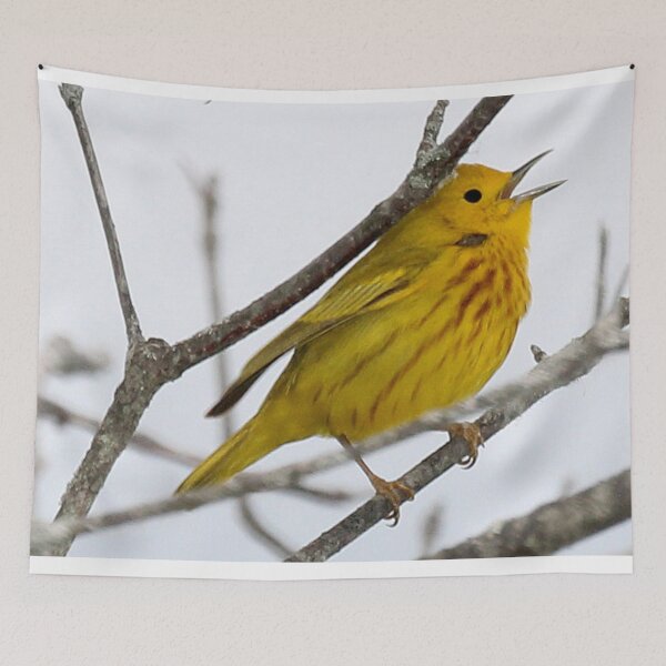 Item preview, Yellow Warbler  designed and sold by TheAnimalZ00.