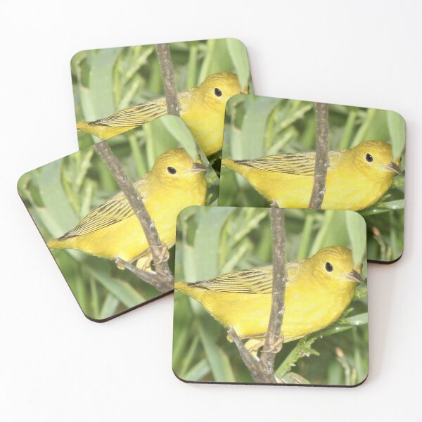 Item preview, Yellow Warbler  designed and sold by TheAnimalZ00.