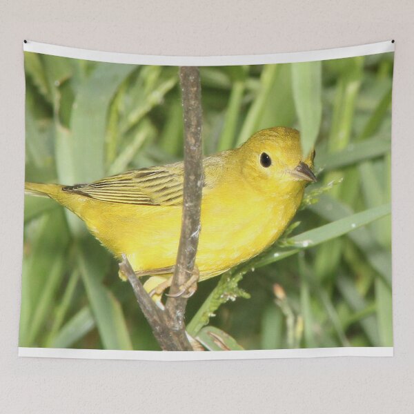Item preview, Yellow Warbler  designed and sold by TheAnimalZ00.