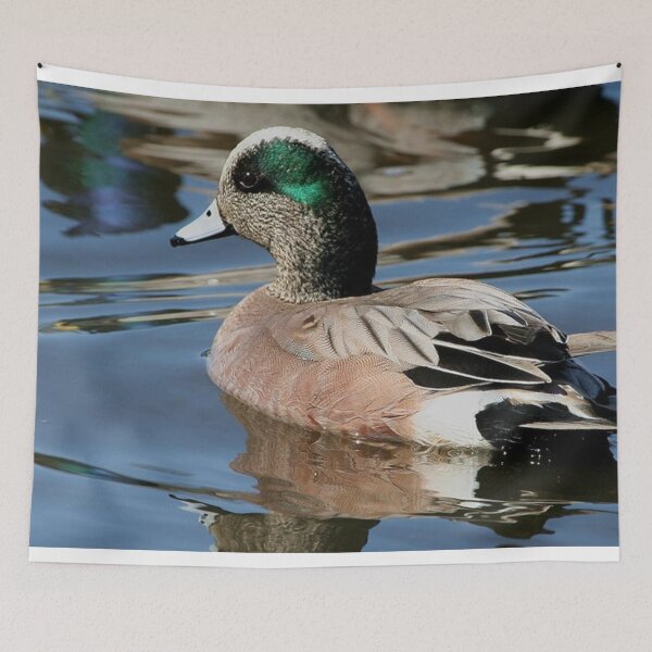 Item preview, Foto de silbón americano designed and sold by TheAnimalZ00.