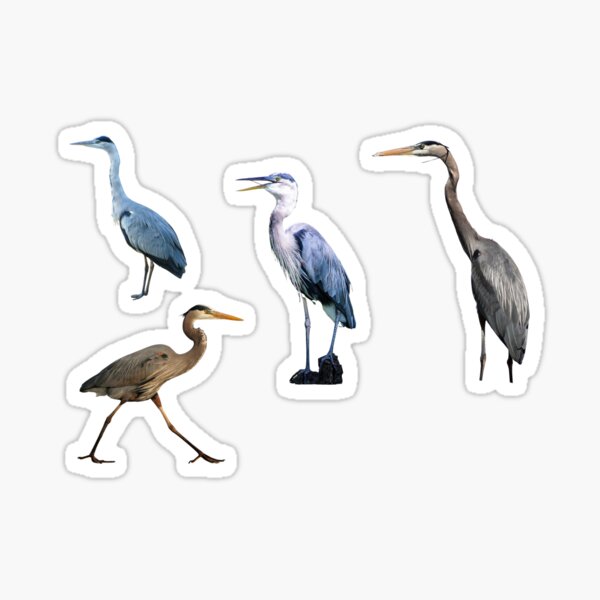 Item preview, Great Blue Herons designed and sold by TheAnimalZ00.