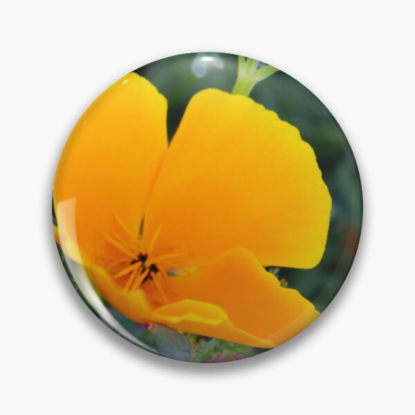 Item preview, Yellow Flower in my garden at Springtime.  designed and sold by SilentlyRob668.