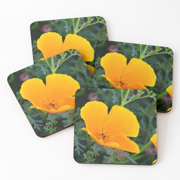 Item preview, Yellow Flower in my garden at Springtime.  designed and sold by SilentlyRob668.