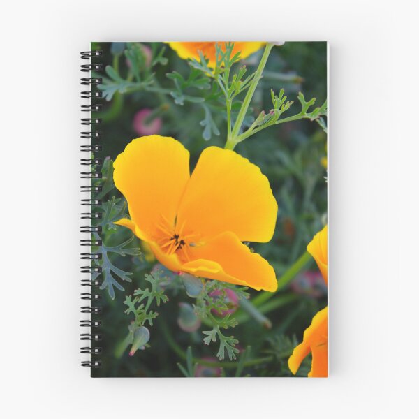 Item preview, Yellow Flower in my garden at Springtime.  designed and sold by SilentlyRob668.