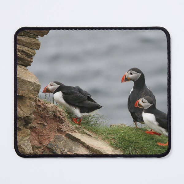 Item preview, Puffins designed and sold by TheAnimalZ00.