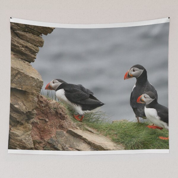Item preview, Puffins designed and sold by TheAnimalZ00.