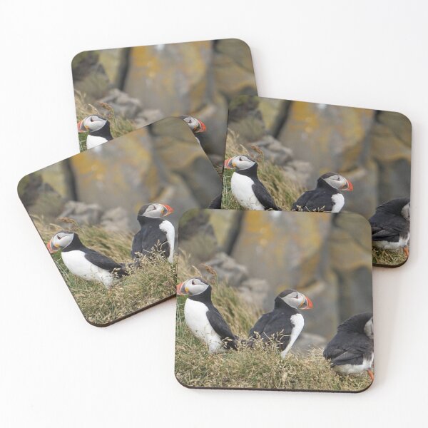 Item preview, Puffins Photo designed and sold by TheAnimalZ00.