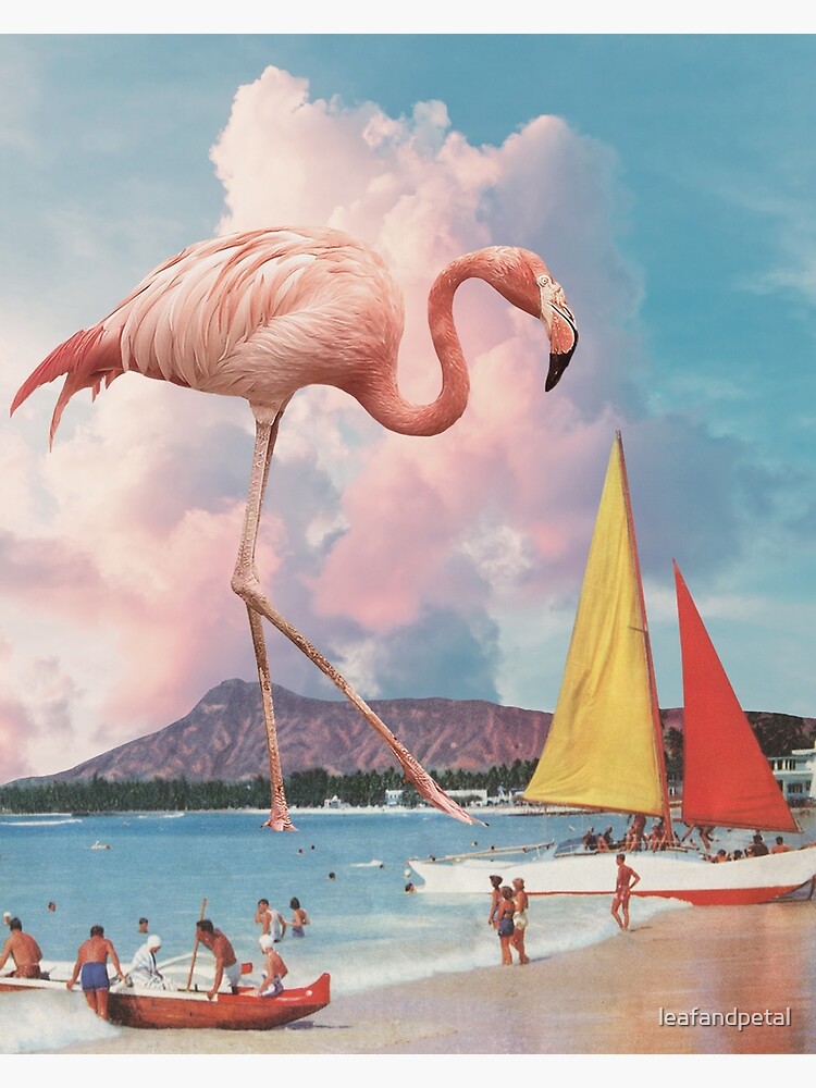 Flamingo Playground by leafandpetal
