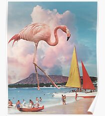 Póster Flamingo Playground