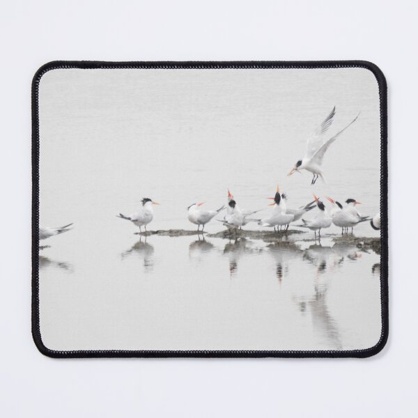 Item preview, Breakfast delivery at Bolsa Chica designed and sold by Ruth Jolly.