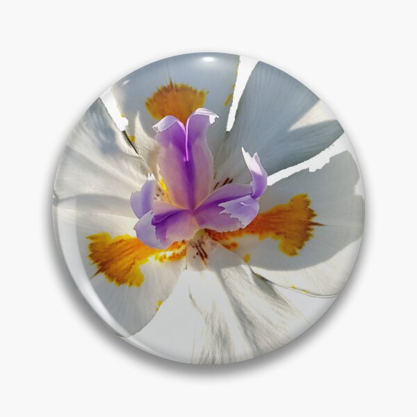 Item preview, Dietes grandiflora: also known as Fairy Iris  designed and sold by Blissfully-MK.