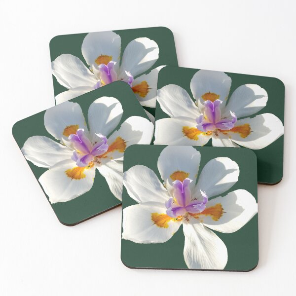Item preview, Dietes grandiflora: also known as Fairy Iris  designed and sold by Blissfully-MK.