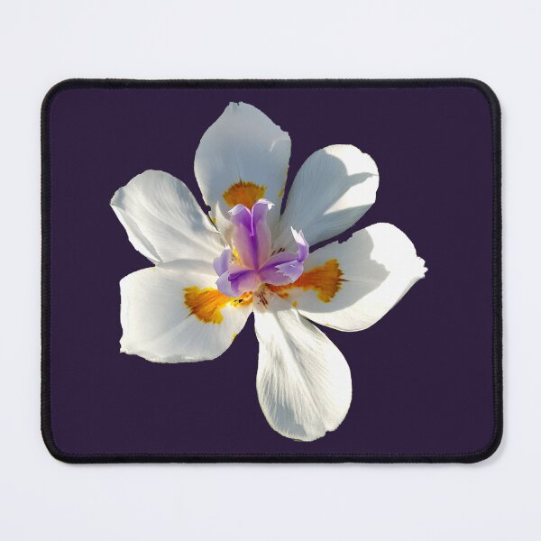 Item preview, Dietes grandiflora: also known as Fairy Iris designed and sold by Blissfully-MK.