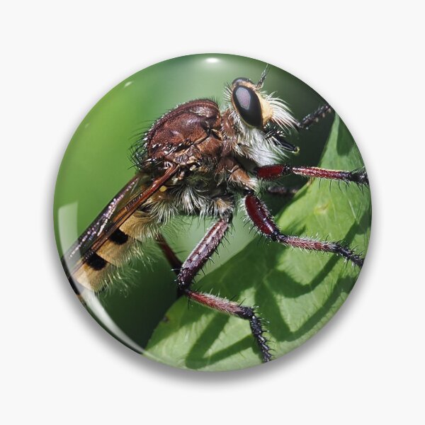 Item preview, Robber Fly designed and sold by Rivercoatl.