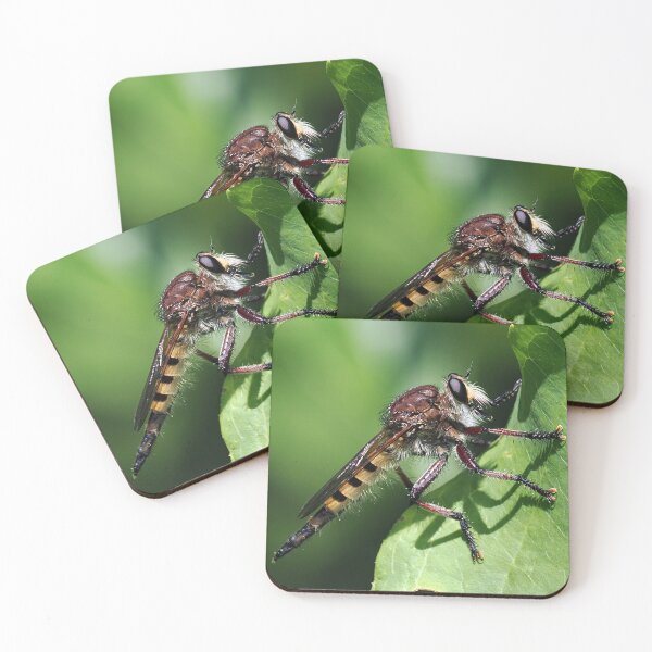 Item preview, Robber Fly designed and sold by Rivercoatl.