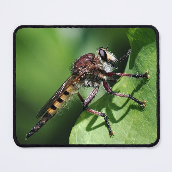 Item preview, Robber Fly designed and sold by Rivercoatl.