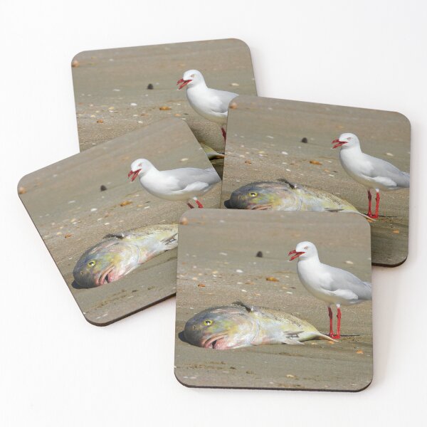 Item preview, Silver Gull ordered the large meal designed and sold by Mark Grimsley.