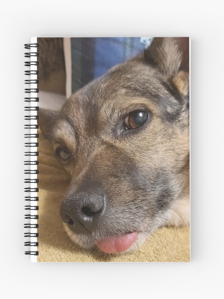 Thumbnail 1 of 3, Journal, Loki designed and sold by K-AEyston.