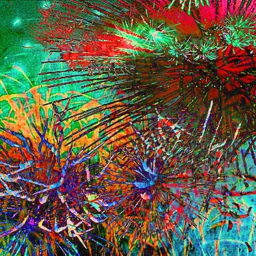 Artwork thumbnail, Colour Splash by Elizabeth Austin-Craig