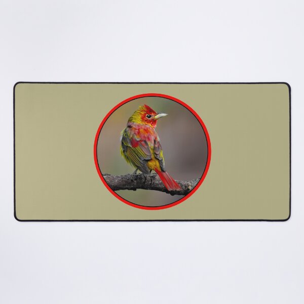 Item preview, Scarlet Tanager - Original Photograph designed and sold by alpendesigns.