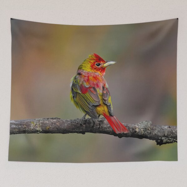 Item preview, Scarlet Tanager - Original Photograph designed and sold by alpendesigns.