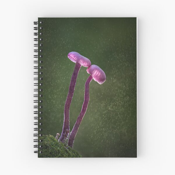 Item preview, Amethyst Deceivers designed and sold by Tony North.